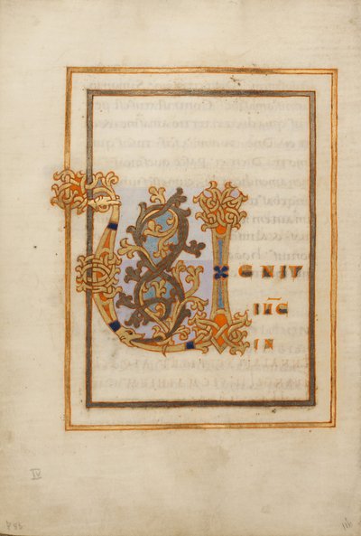 Decorated Initial V by Unknown artist