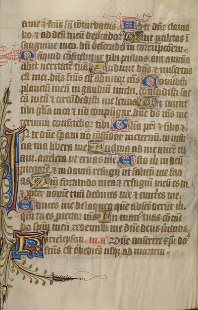 Decorated Text Page by Unknown artist