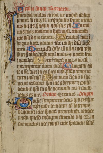 Decorated Text Page by Unknown artist