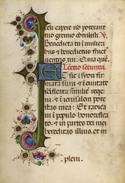 Decorated Text Page by Unknown artist