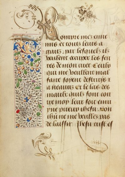 Decorated Text Page by Unknown artist