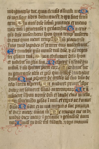 Decorated Text Page by Unknown artist