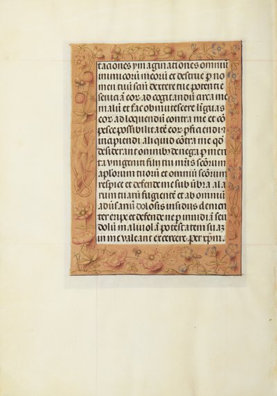 Decorated Text Page by Unknown artist