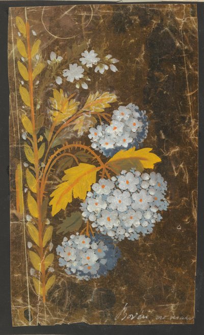 Design for an Embroidered Border by Unknown artist