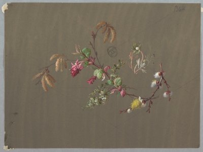 Designs for Wallpaper and Textiles: Flowers by Unknown artist