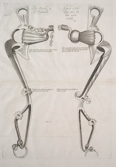 Diagram for Horse