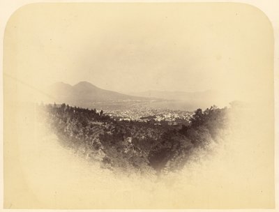 Distant View of Naples by Unknown artist