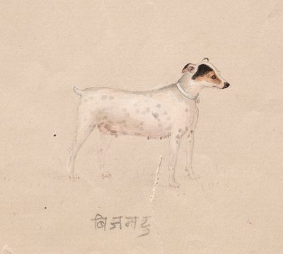 Dog by Unknown artist