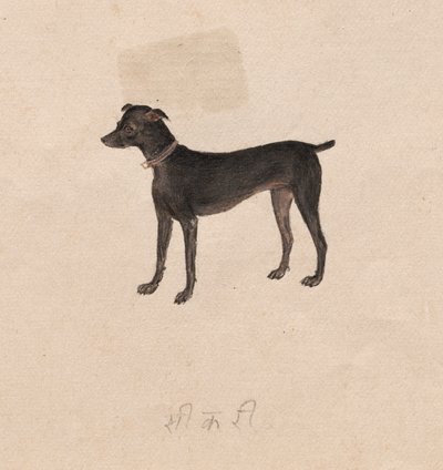 Dog by Unknown artist