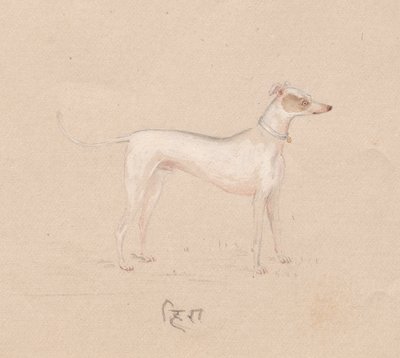 Dog by Unknown artist