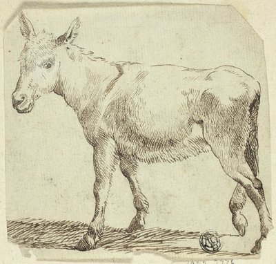 Donkey by Unknown artist