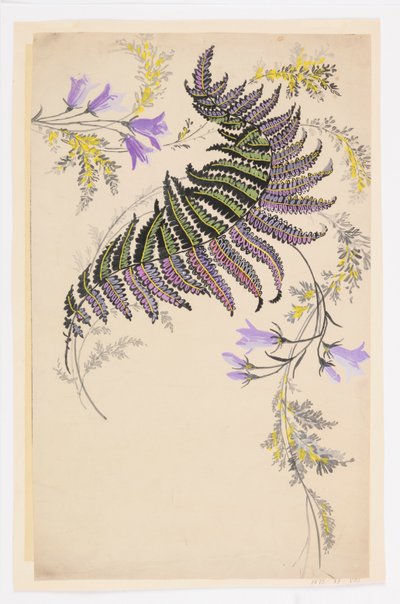 Drawing by Unknown artist