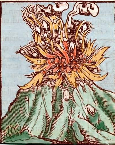 Eruption of a volcano. 16th century engraving. by Unknown artist