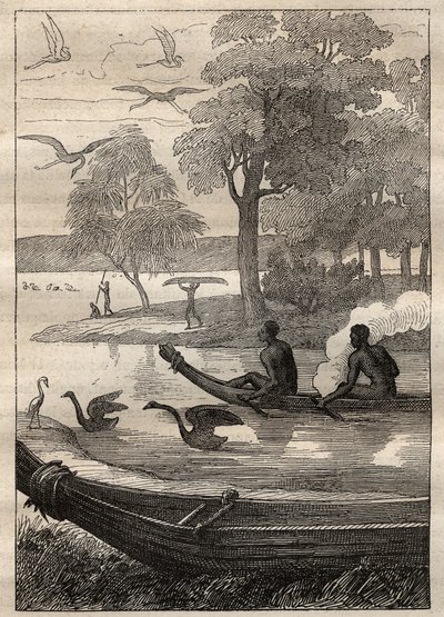 Expedition of Antoine Bruny by Unknown artist