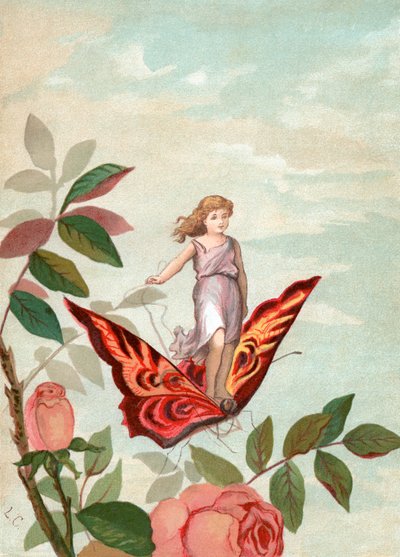 Fairy Riding a Butterfly Among Roses by Unknown artist
