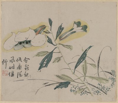 Flowering Lily by Unknown artist