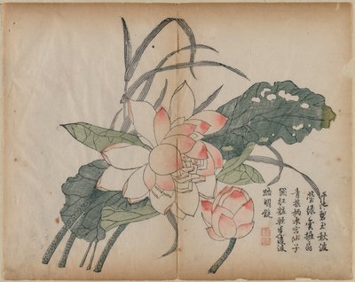 Flowering Lotus and Bud by Unknown artist