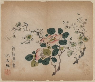 Flowering Prunus by Unknown artist