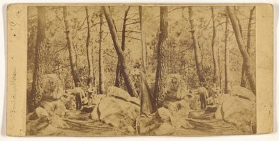 Fontainebleau by Unknown artist