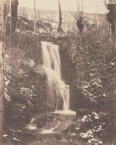 Forest Scene with Waterfall and Stream by Unknown artist