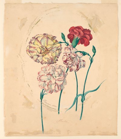 Four Carnations by Unknown artist