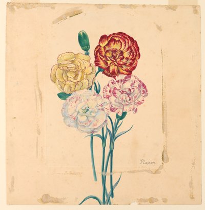 Four Carnations by Unknown artist