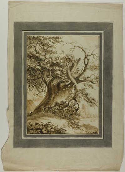 Giant Oak by Unknown artist