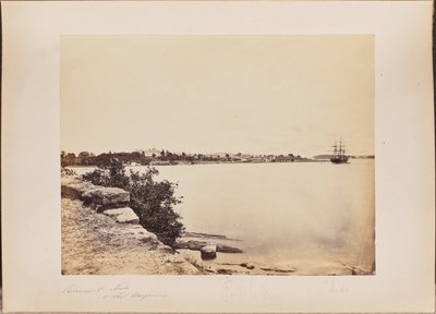 Government House and Fort Macquarie by Unknown artist