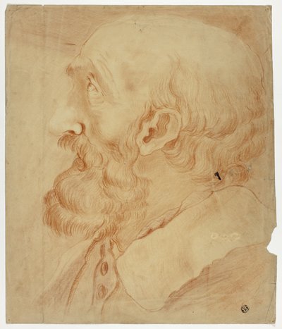 Head of Bearded Man in Profile by Unknown artist