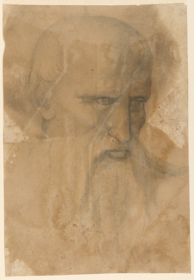 Head of an Elderly Bearded Man by Unknown artist