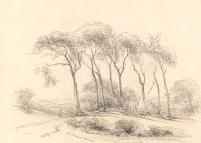 High Trees by Unknown artist