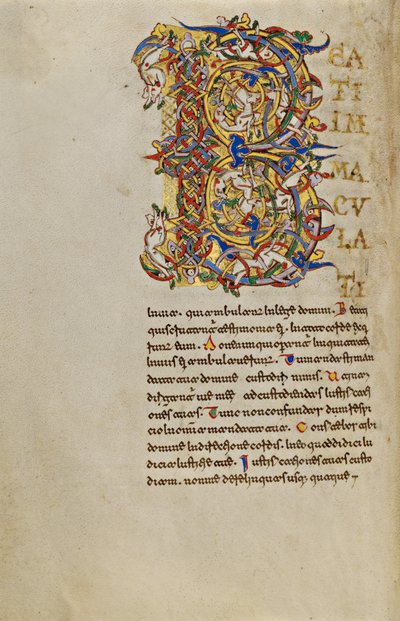 Inhabited Initial B by Unknown artist