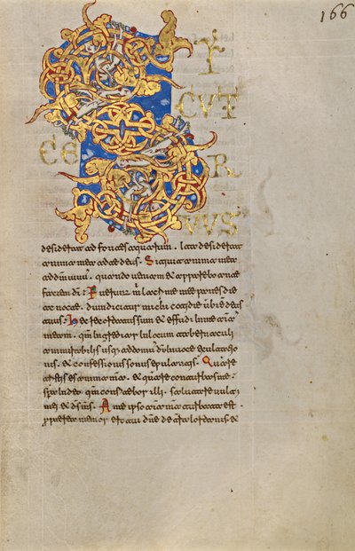Inhabited Initial S by Unknown artist