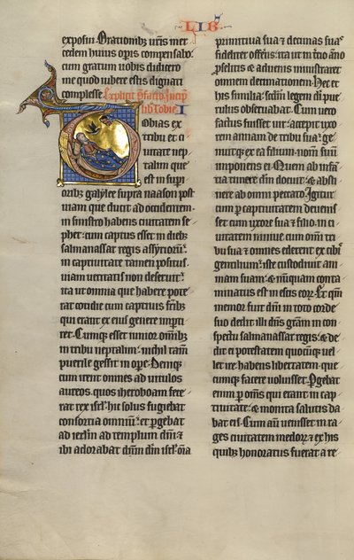 Initial T: The Blinding of Tobit by Unknown artist