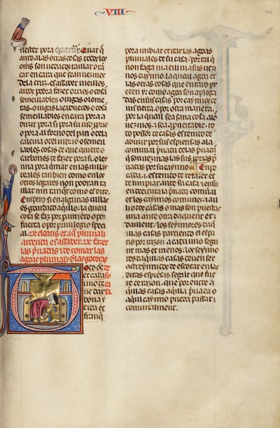 Initial T: Two Men Digging by Unknown artist