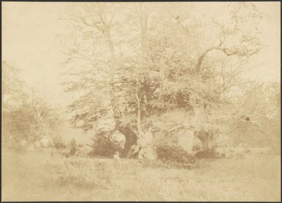 Landscape by Unknown artist