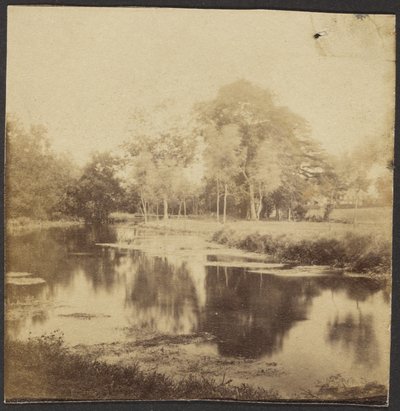 Landscape with Pond by Unknown artist