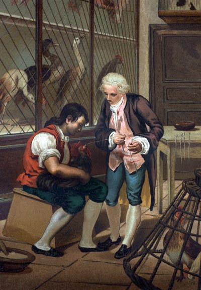 Lazzaro Spallanzani (or Spalanzani) by Unknown artist