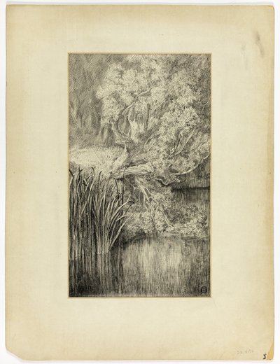 Little Pond in Woods by Unknown artist