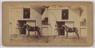 Man Holding Horse by Bridle by Unknown artist