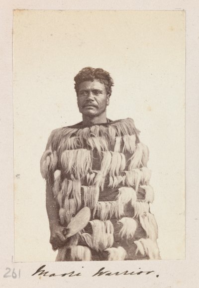Maori Warrior, c.1876 by Unknown artist