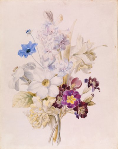 Narcissus and Other Flowers by Unknown artist