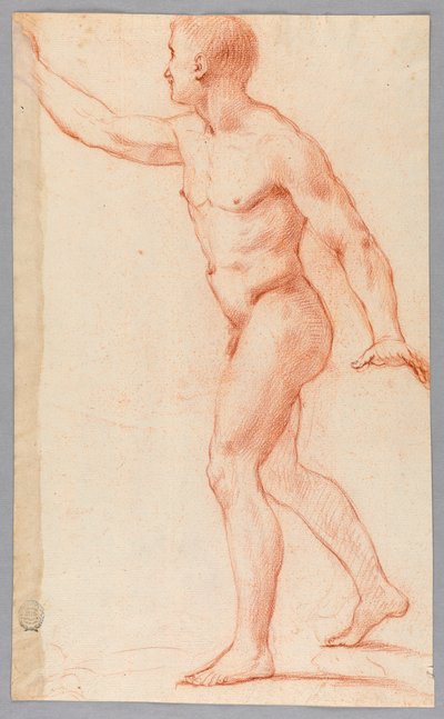 Nude Man by Unknown artist