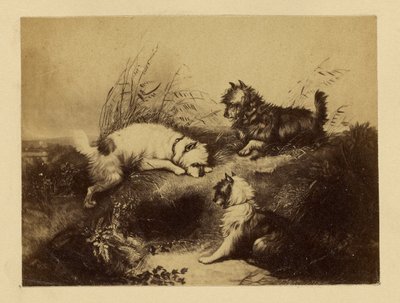 Dogs by Unknown artist