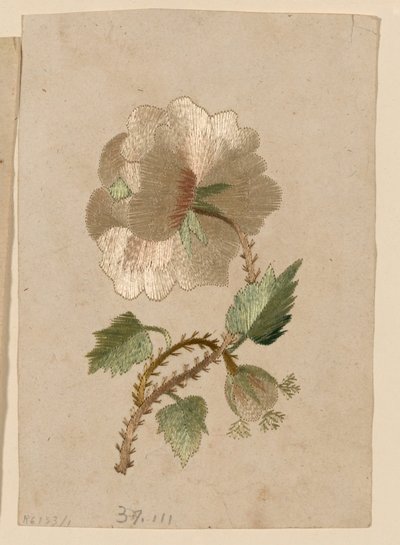 Pattern by Unknown artist