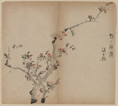 Peach Blossoms by Unknown artist