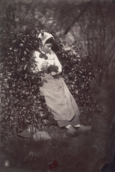 Peasant Woman Holding Small Animal by Unknown artist