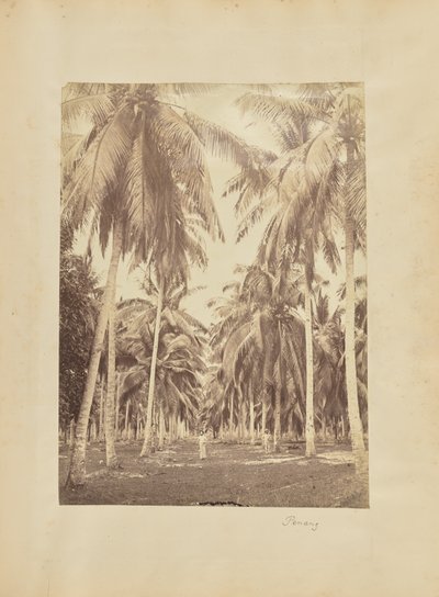 Penang by Unknown artist