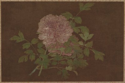 Peonies by Unknown artist