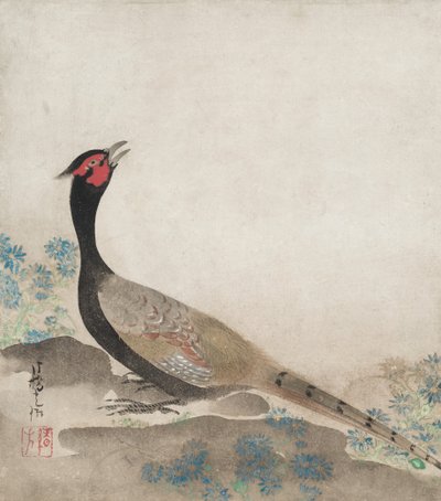 Pheasant by Unknown artist